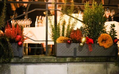 Romantische Genussmomente zum Weihnachtsfest