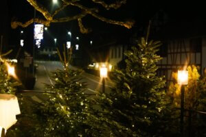 Geniessen Sie diese schöne Aussicht von unserer Terrasse aus